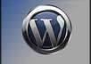 setup your Wordpress blog + theme + analytics of your choosing