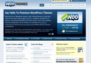 install wordpress together with one woo theme on your blog/website big1