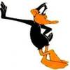 dafiduck
