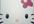 paint Hello Kitty