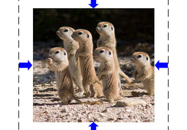 resize and crop up to 10 images or photos big1
