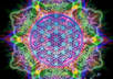 give you a tarot reading on your important question