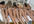 write your short message on my bikini models bodies