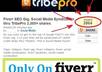 promote ONE link through TribePro, each one will get syndicated / shared at least 1,500 times small1