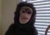 record a personal video with my cute monkey small1