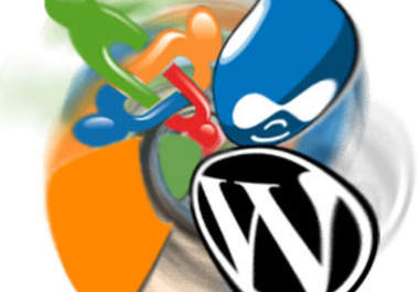 design, Repair and Fix any Wordpress , Joomla , Drupal Theme big1