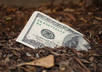 search for Hidden Money which could be waiting for you