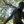 vinoth2vinoth