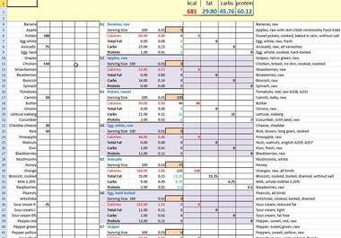 give you a nutrition facts spreadsheet to calculate your calories, fat, protein and carbs; ideal for weight loss big1