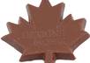 give travel tips to Toronto Canada and Niagara Falls