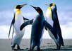 give you a list of 35,000 quotes to add content to your website blog twitter or facebook