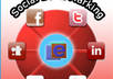 manually social bookmark your website over 25 times and tweet your site to 3000 fans