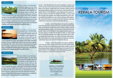design attractive brochure or rackcard big1