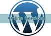 create a premier wordpress theme