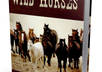 show you how to tame and train wild horses