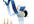 convert Audio / video/ image files to your desired format