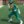 greenranger5