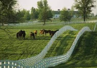 help you with ideas for a Kentucky vacation big1