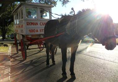 be your personal concierge and answer up to 5 questions about dining, hotels and entertainment in New Orleans big1