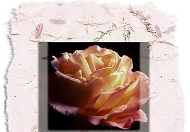 save You Time With 3 Top Quality New PLR Articles on Flower and Herb Gardening big1