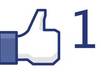 send 200 likes on any photo on facebook in 4 days