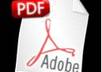 convert your PDF image document page to word or text document error free each page