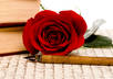 write a special Valentines poem using your loved ones name