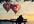 create a beautiful valentine picture with you and your valentine