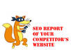 create a detailed SEO report of your competitor website