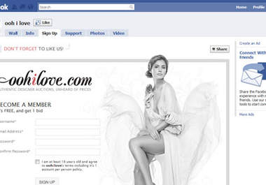 iframe your website into your facebook fan page big1