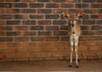 send a Postcard from South Africa to anywhere in the world