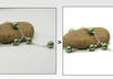 remove BACKGROUND of your any photo in 24 hrs