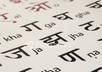 teach u 10 hindi sentences of your choice on skype or gtalk