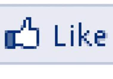 give you 800+ facebook likes or fans and suggest your page to my facebook friends just big1