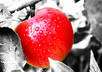 colour pop up to three photos small1