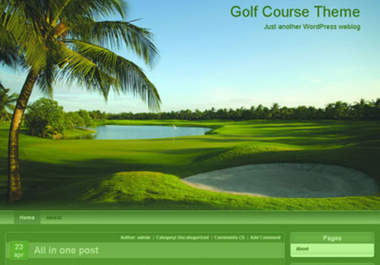 provide you with 5 high converting elegant wordpress themes of your choices and a bonus big1