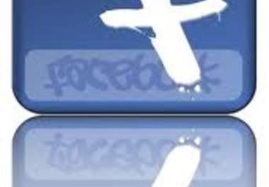 send 500 facebook likes/fans, no admin, within 24 hours big1