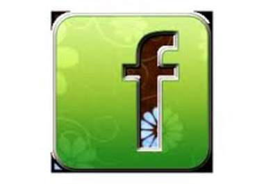 tag any facebook photo to 50 of my facebook friends big1
