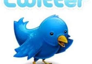 give you 500+ real twitter followers within 1 hours big1
