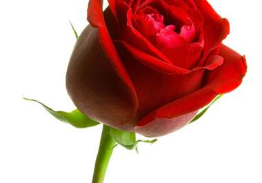 put your site on my Health and Beauty Blogroll Permanently big1