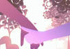 make an HD love video with your pictures and your own messages for Valentine Day small1
