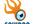 make a Squidoo Lens and hubpage With 500 Words SEO Optimized Unique high Quality Article