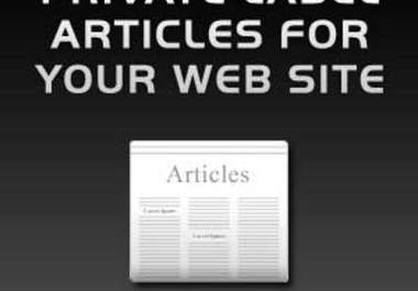 give you 2k+ PLR articles for your website big1