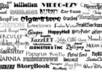 write your company, pet, product or your name