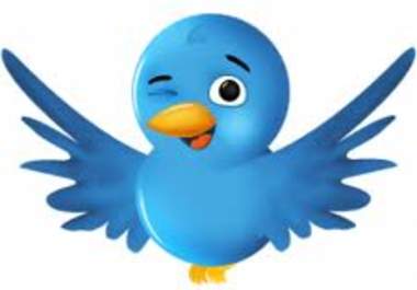 tweet your message to my 55k+ twitter followers with PROOF big1