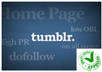 uncover the new and unique 10 Home Page Dofollow PR3 to PR1 Tumblr Backlinks Service Panda and Penguin Safe