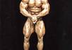 put your face on body builder with great muscle
