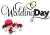 give you your Best Numerology Wedding Dates