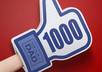 give you 55+ Guaranteed REAL Facebook likers on your Fan Page