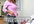 produce, watermark a video and upload to my youtube channel
